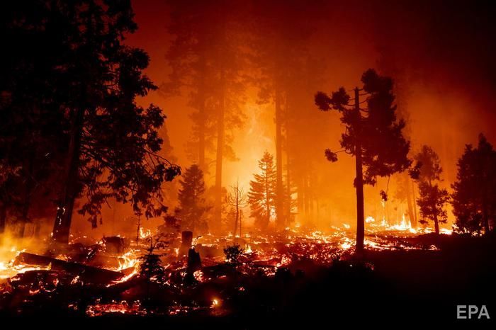 "Кажется, будто это конец света" – масштабные лесные пожары в США уничтожили целые города. ВИДЕО